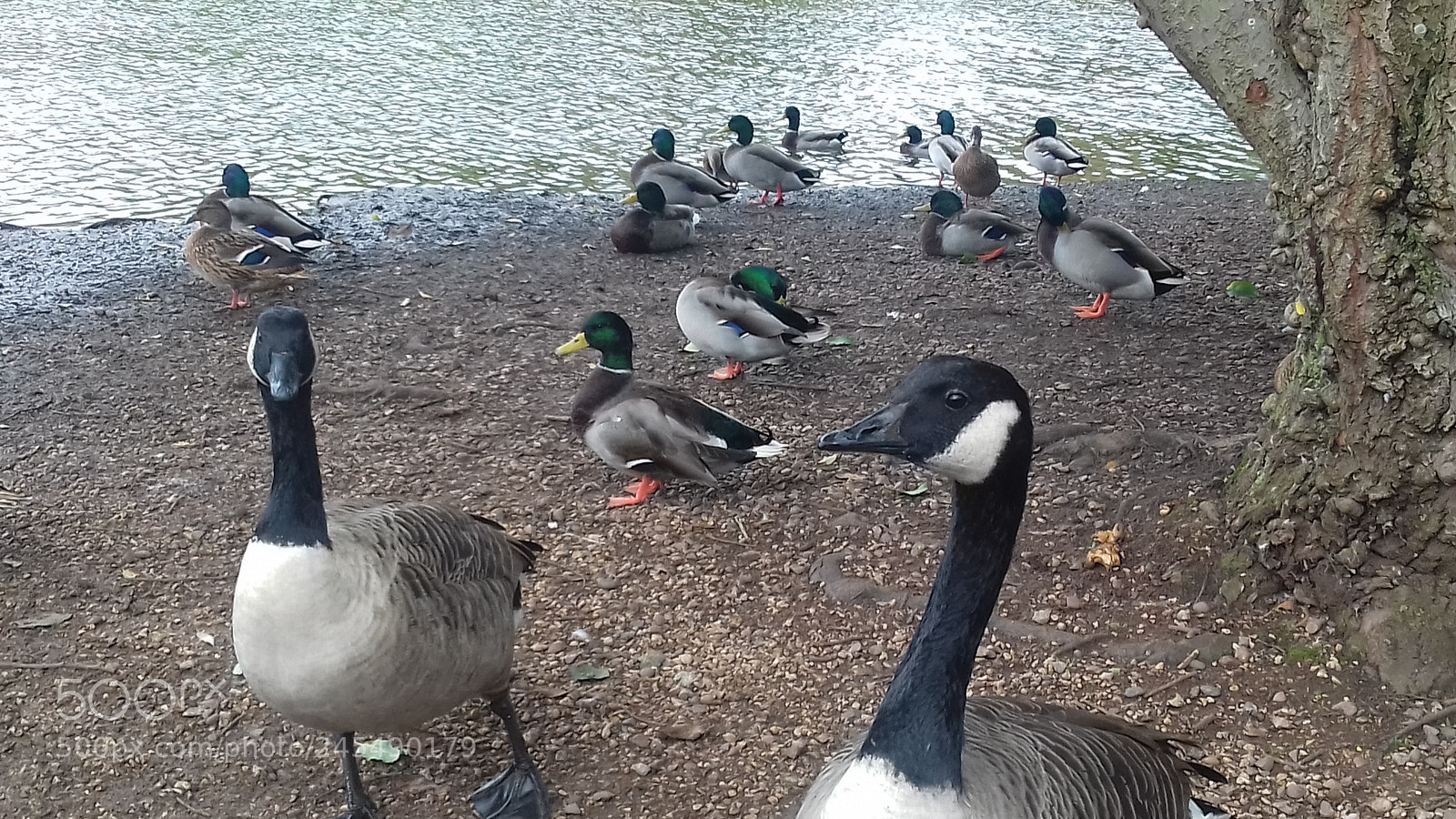 Samsung Galaxy J3(2016) sample photo. You taking pictures of photography