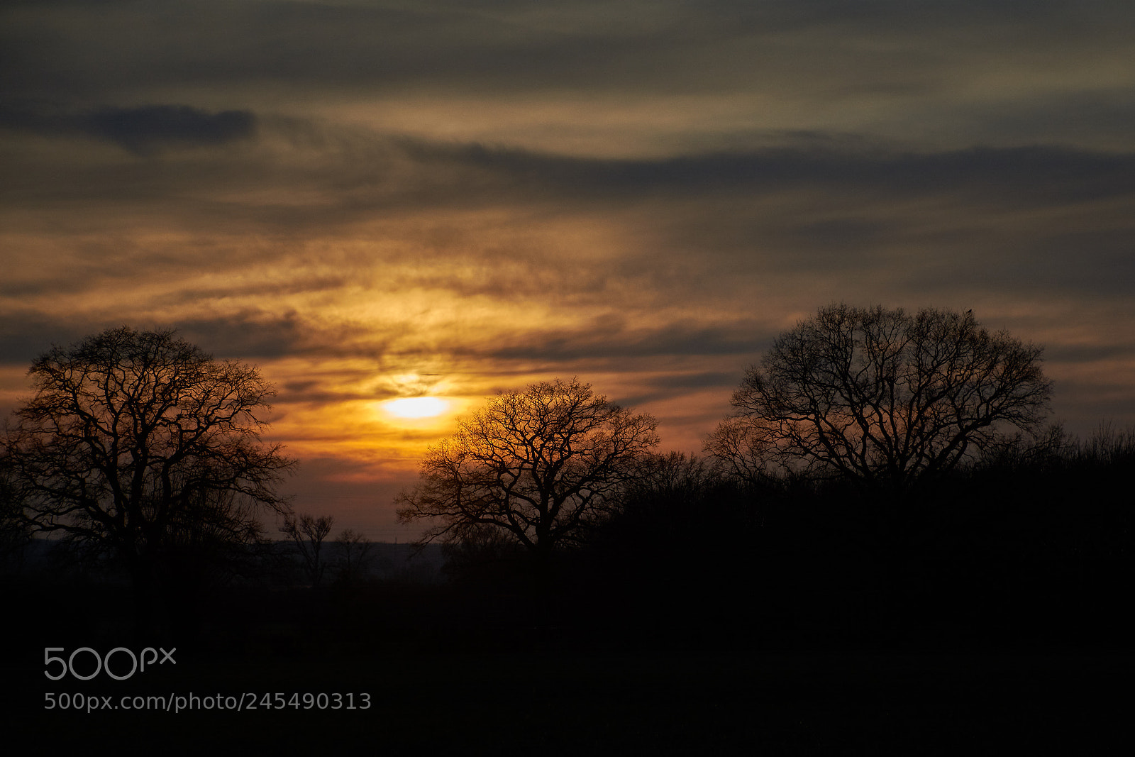 Nikon D5200 sample photo. Dreams photography