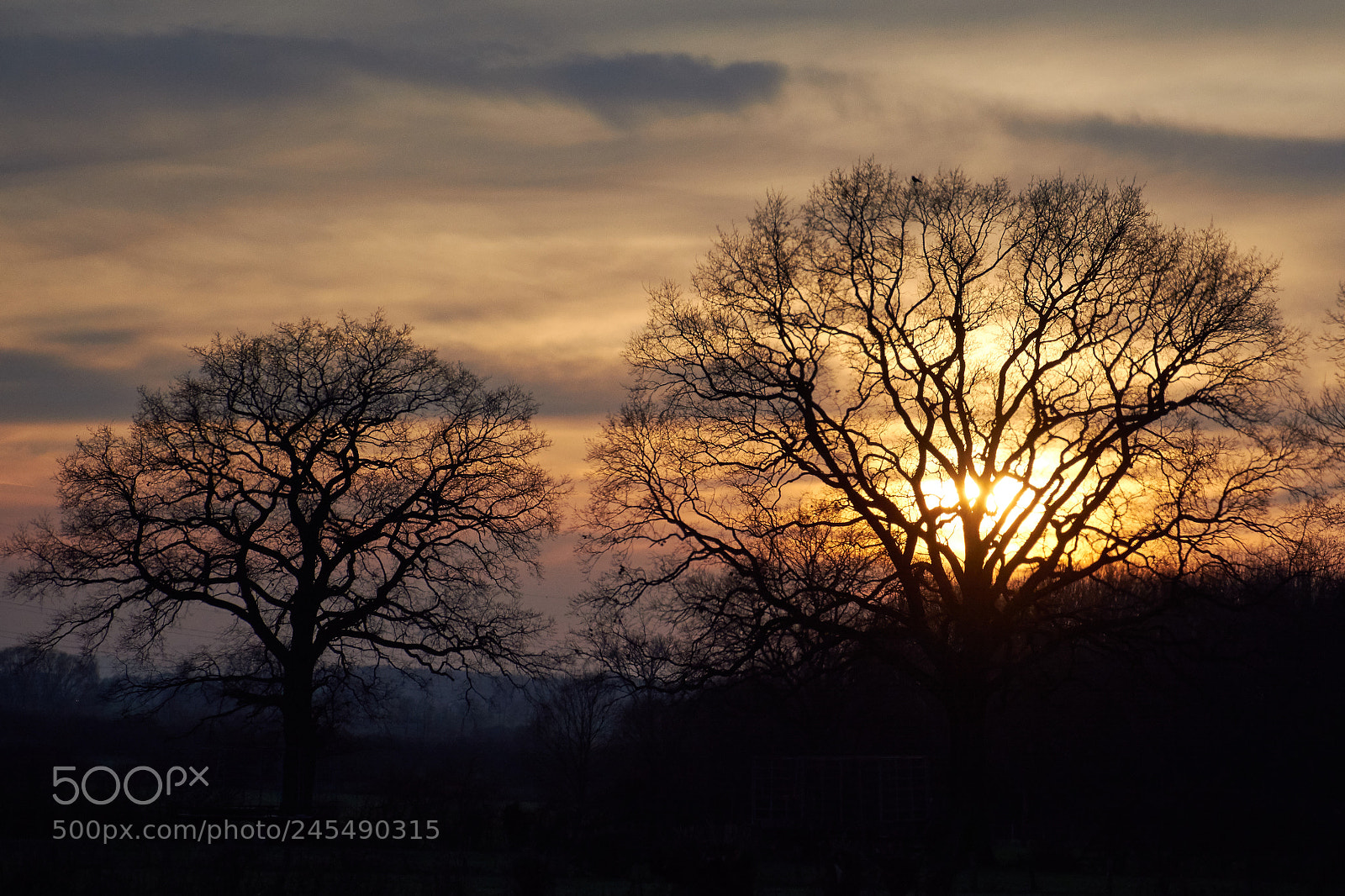 Nikon D5200 sample photo. Dreams photography