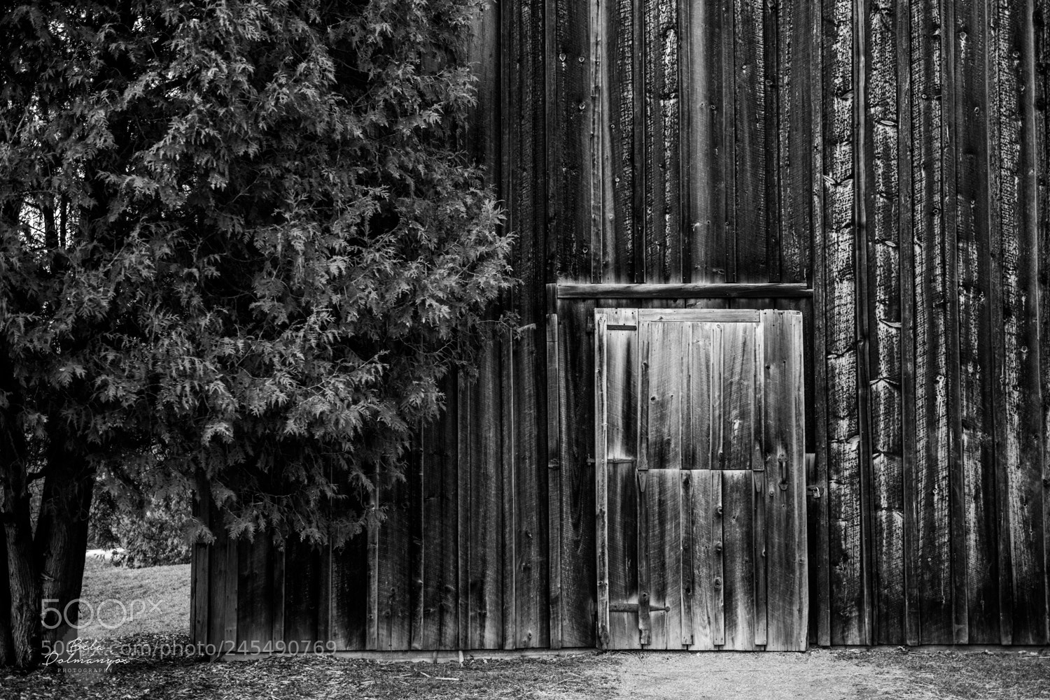 Nikon D810 sample photo. Old photography
