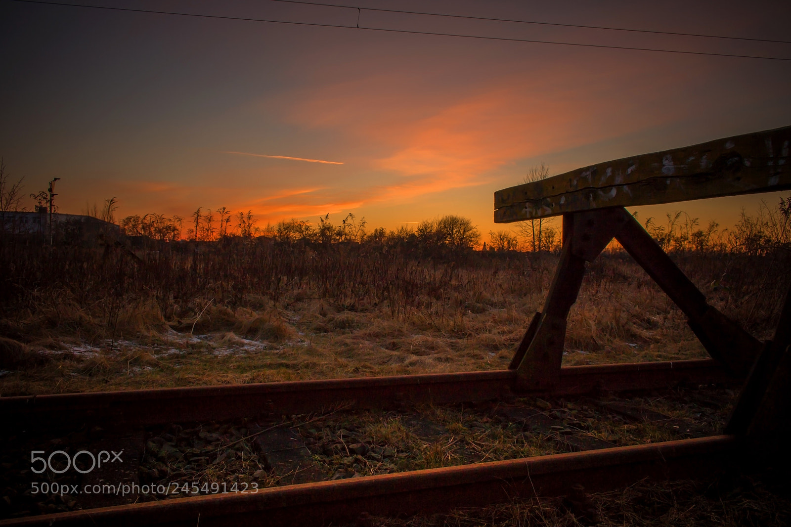 Canon EOS 750D (EOS Rebel T6i / EOS Kiss X8i) sample photo. End of the day photography