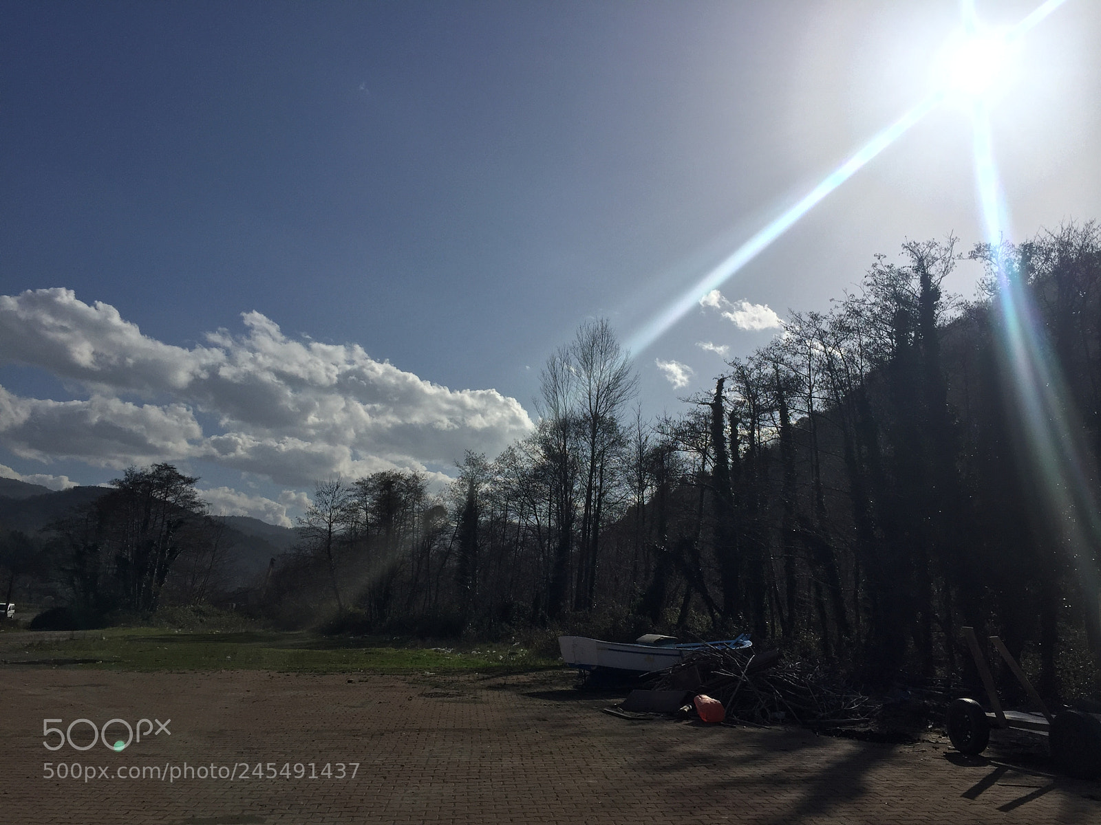 Apple iPhone 6 sample photo. Untitled photography