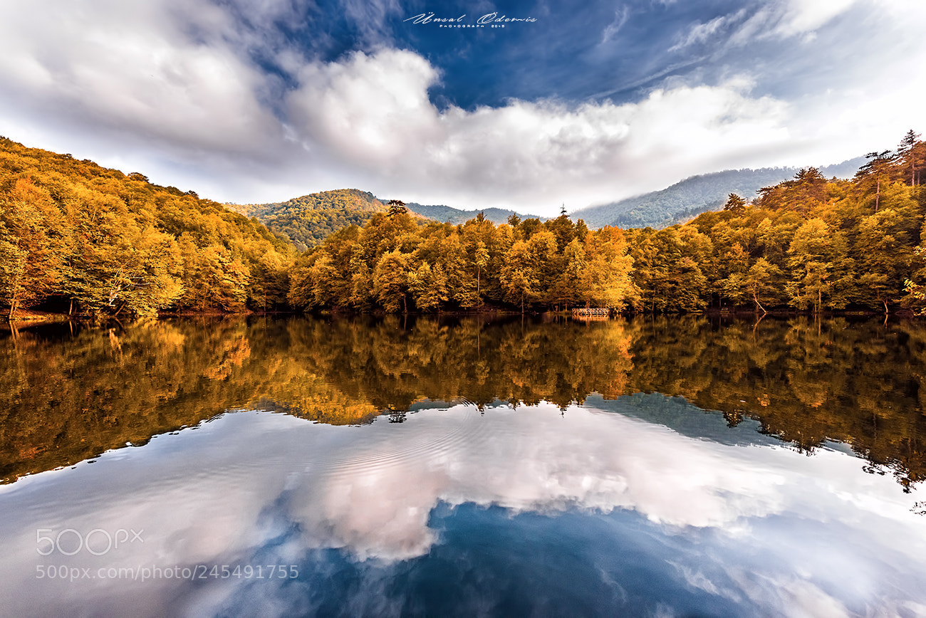 Nikon D810 sample photo. Colors of nature 12 photography