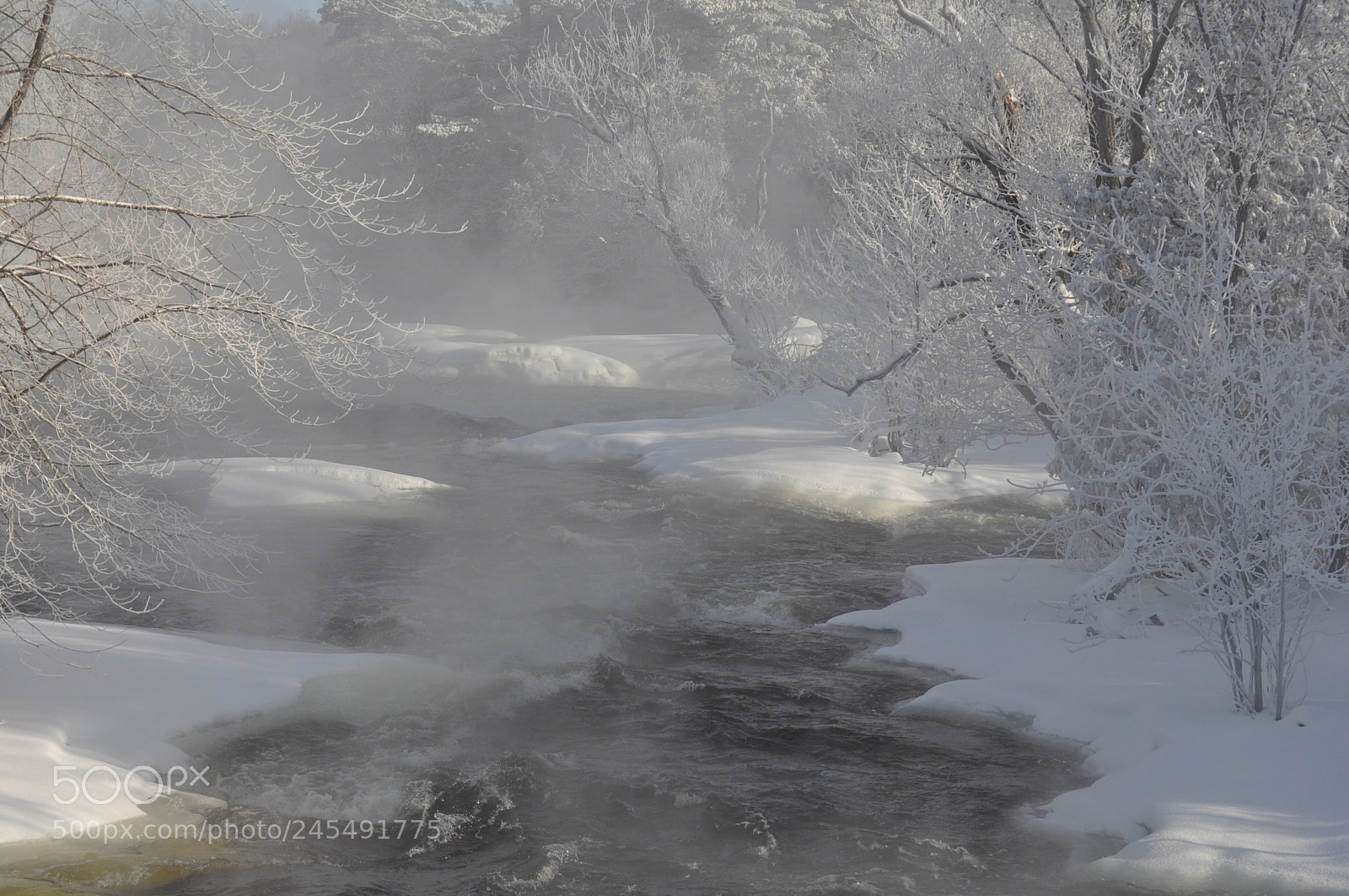 Nikon D5000 sample photo. Frozen misty morning photography