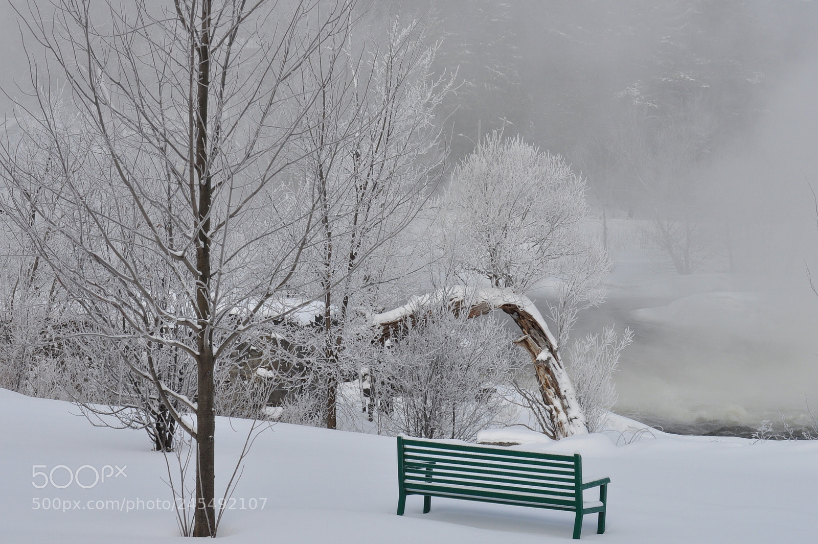 Nikon D5000 sample photo. Watching, wondering , alone photography