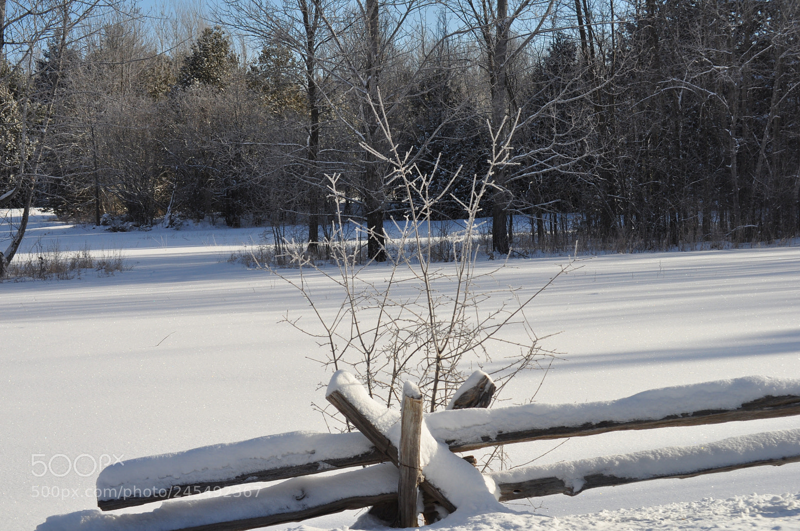 Nikon D5000 sample photo. Winter wonderland photography