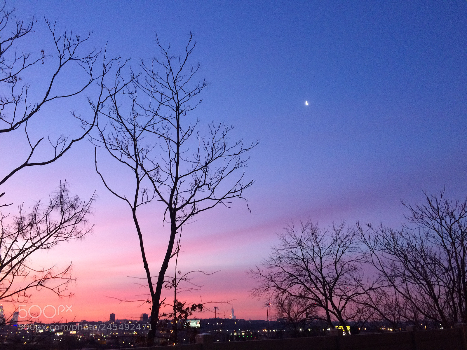 Apple iPhone 5s sample photo. Untitled photography