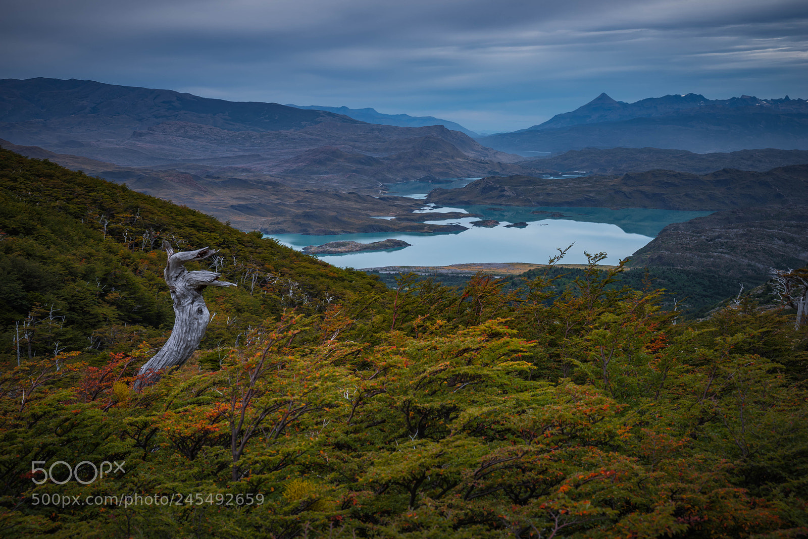 Pentax K-1 sample photo. Torres del paine photography