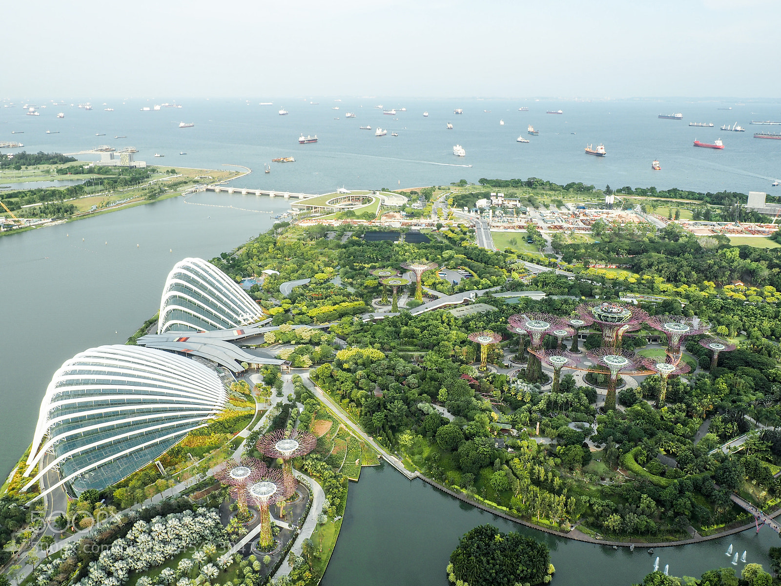 Olympus OM-D E-M10 sample photo. Gardens by the bay photography