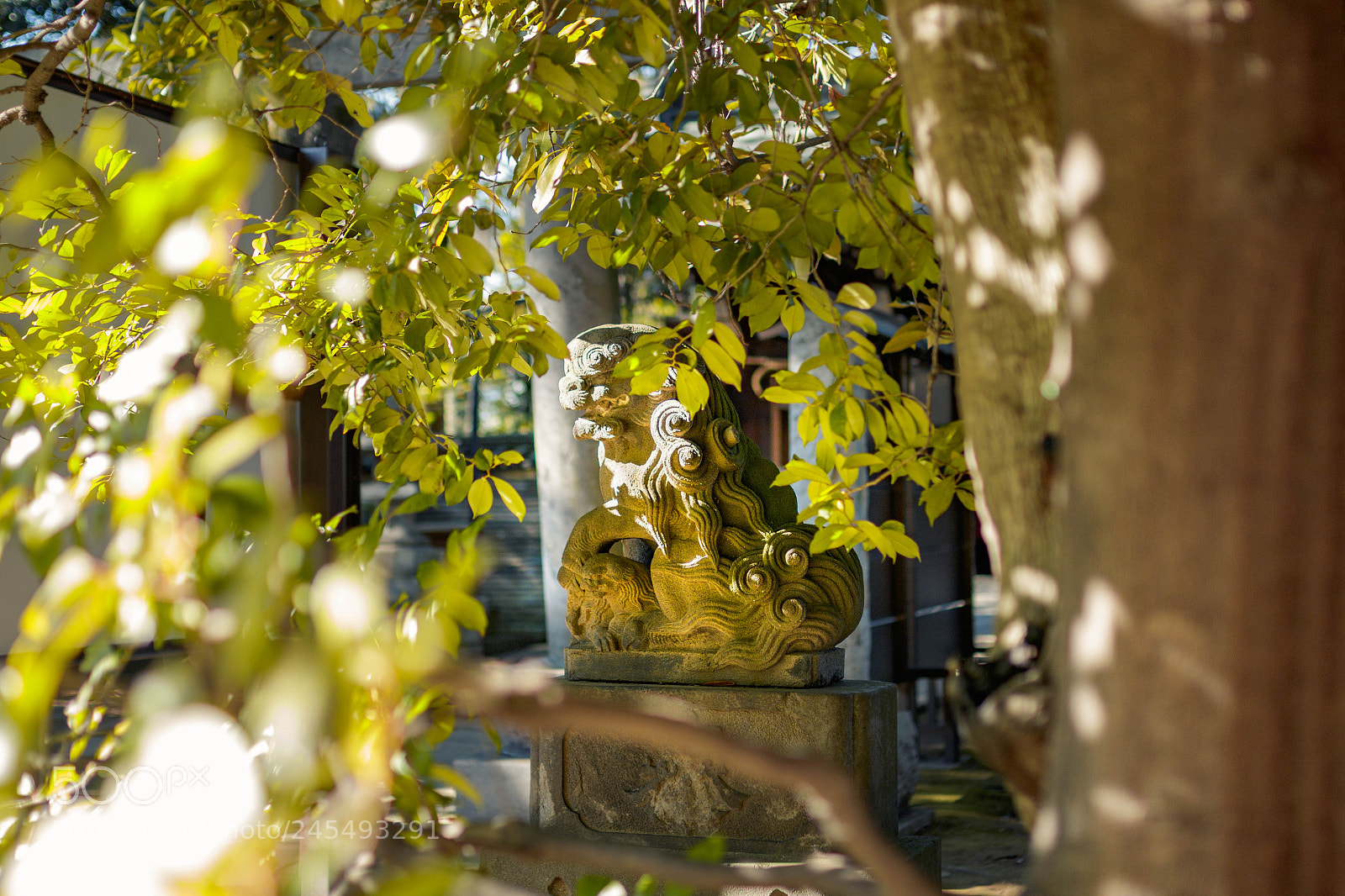 Canon EOS 7D Mark II sample photo. Guardian of the forest photography