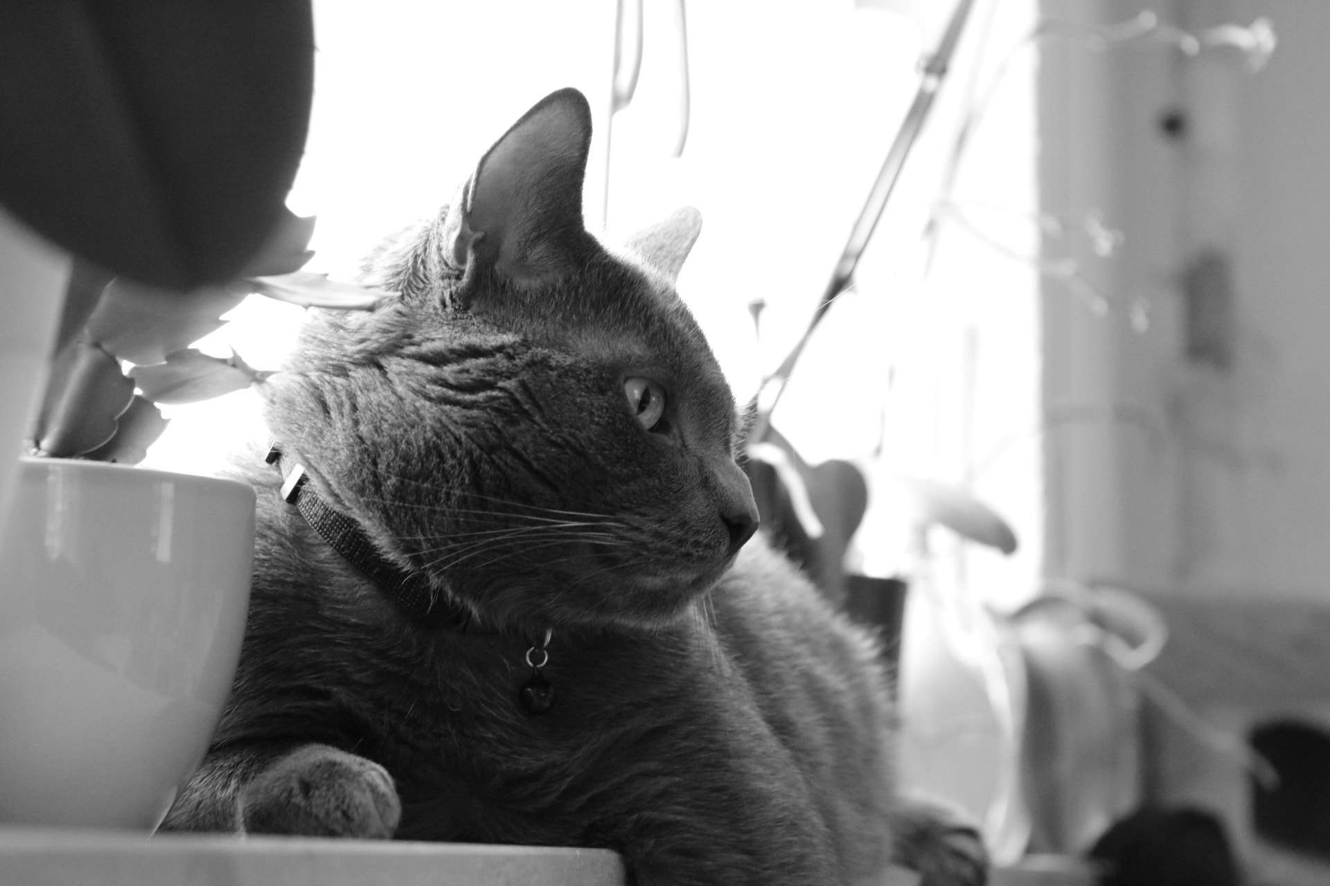 Canon EOS 750D (EOS Rebel T6i / EOS Kiss X8i) sample photo