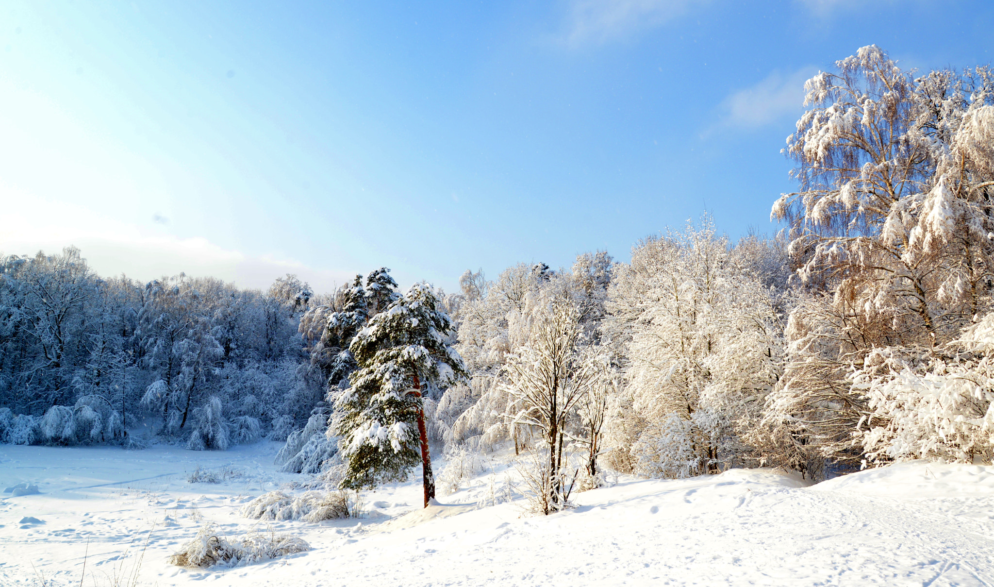 Nikon D610 + Nikon AF-S Nikkor 24-85mm F3.5-4.5G ED VR sample photo. Russian winter. izmaylovo park - 1. photography