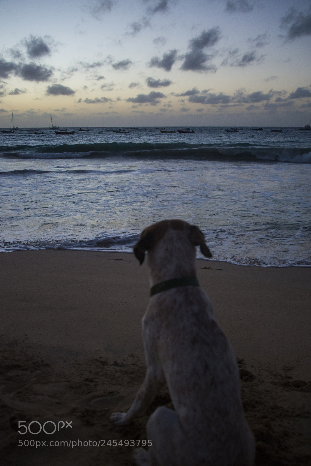 Nikon D800 sample photo. Another new day to photography