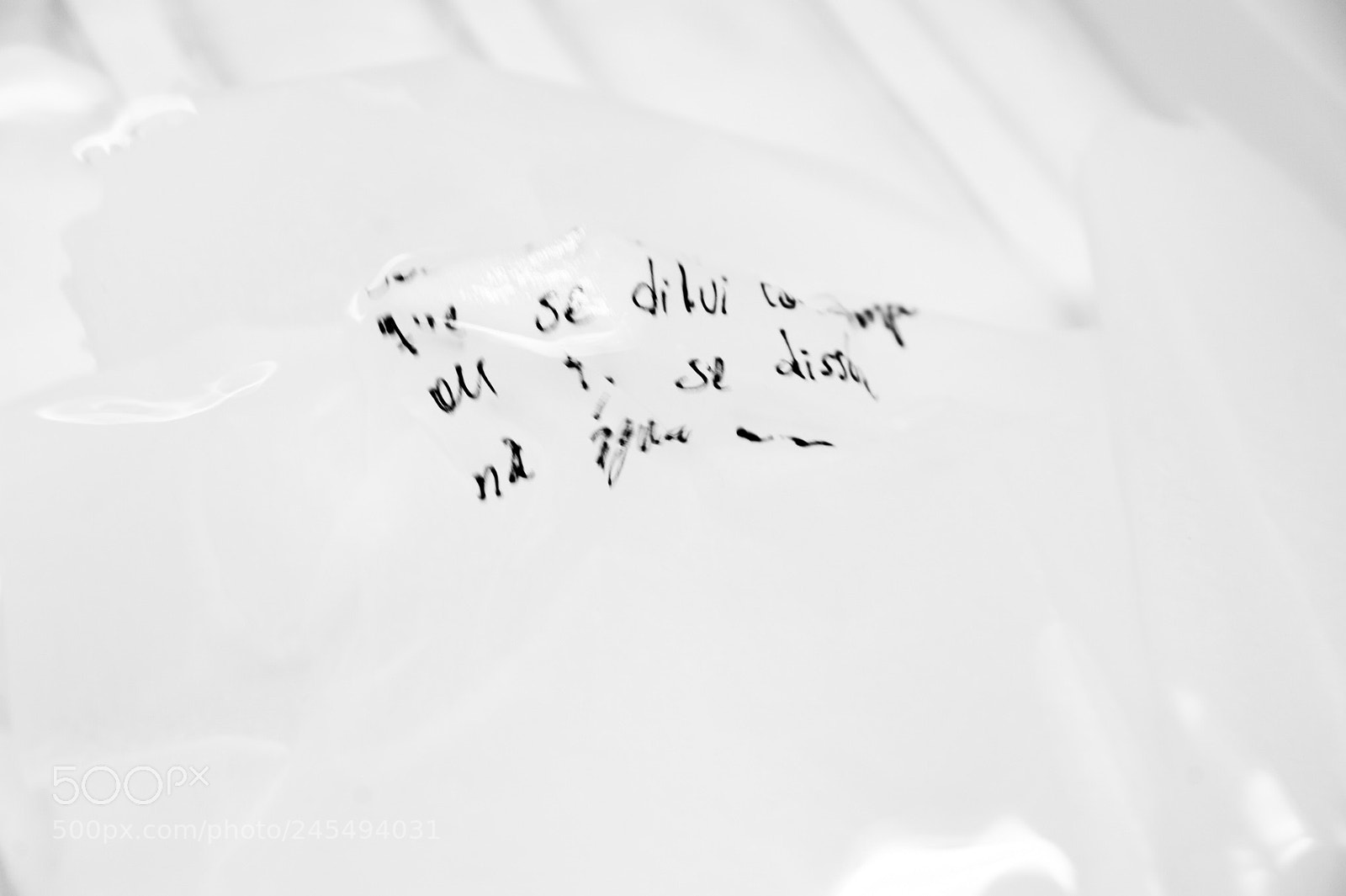 Nikon D700 sample photo. Dissolvo photography