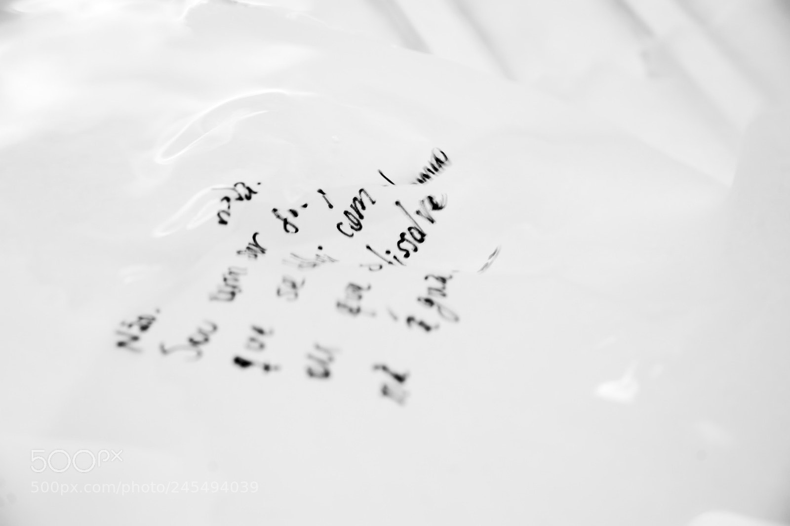 Nikon D700 sample photo. Dissolvo photography