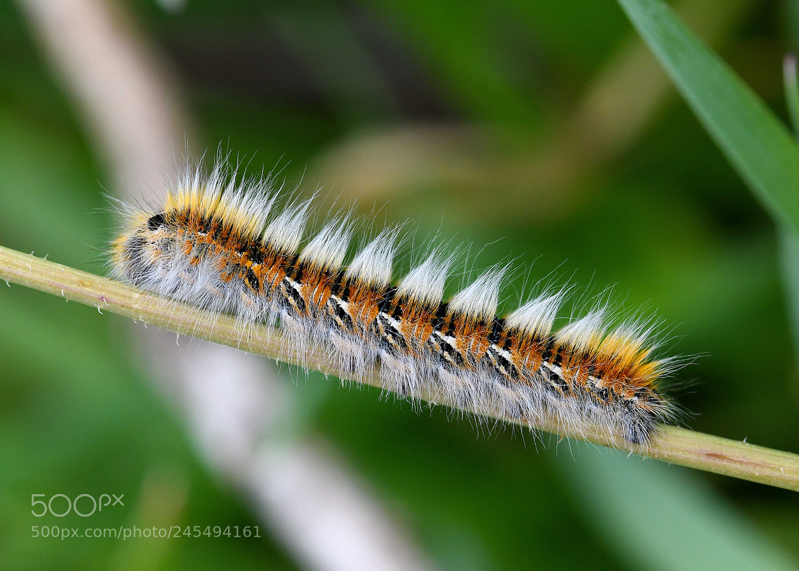 Nikon D850 sample photo. ^^^^^^^^ photography