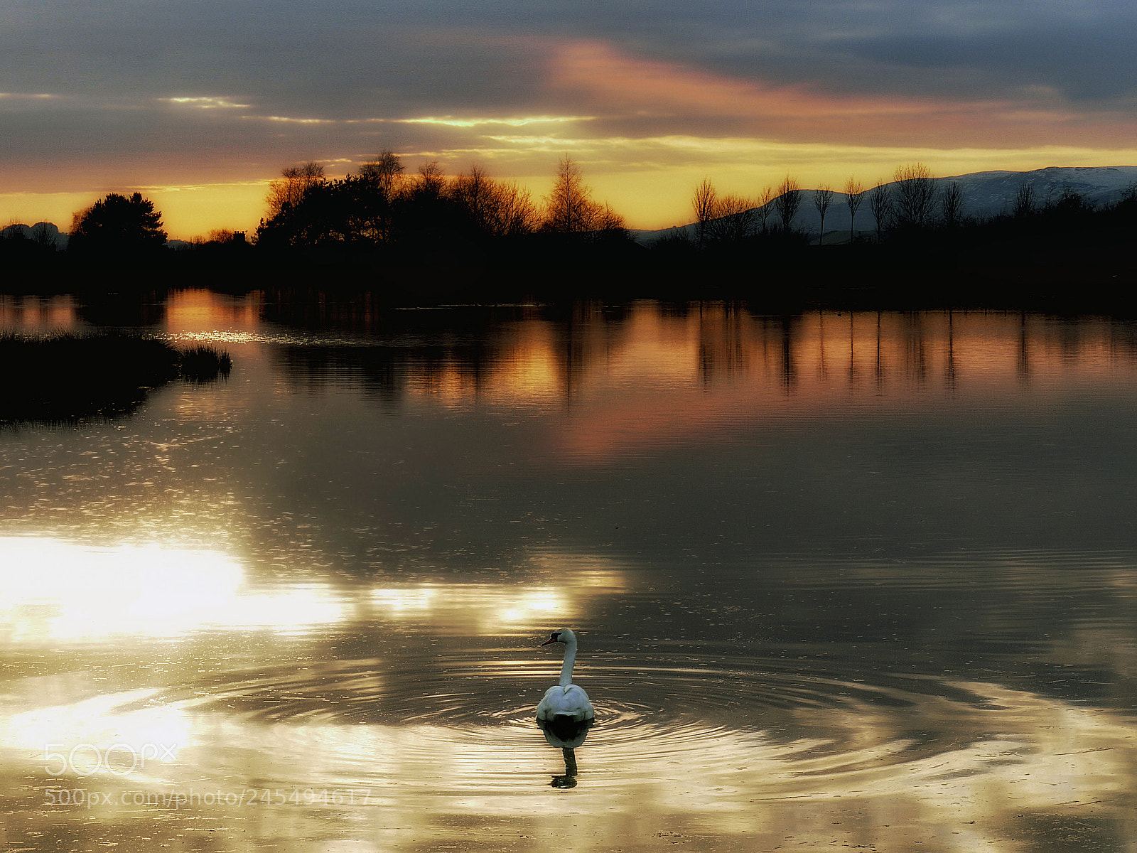 Panasonic Lumix DMC-G1 sample photo. On golden pond photography