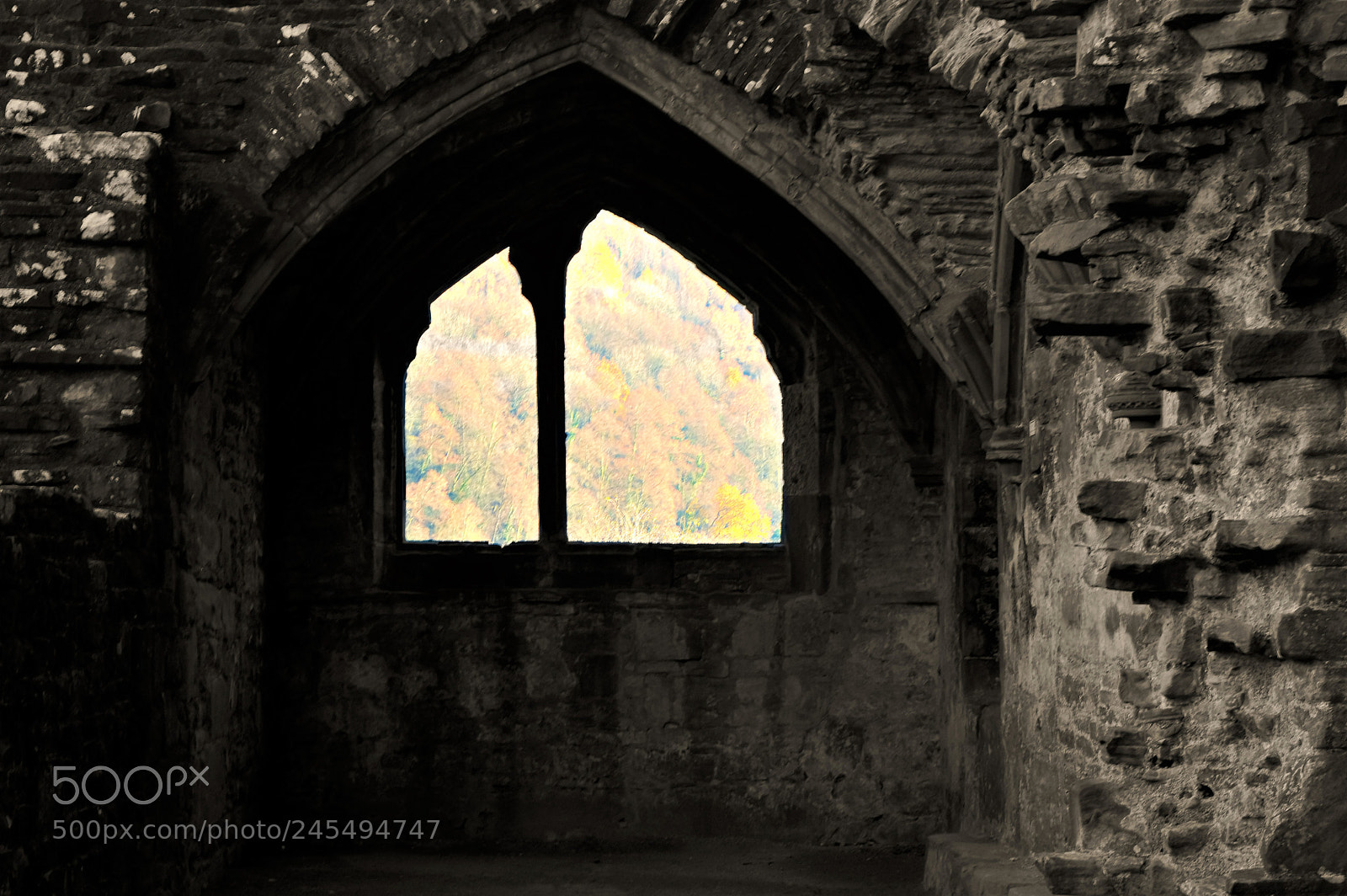 Nikon D3200 sample photo. Abbey window photography
