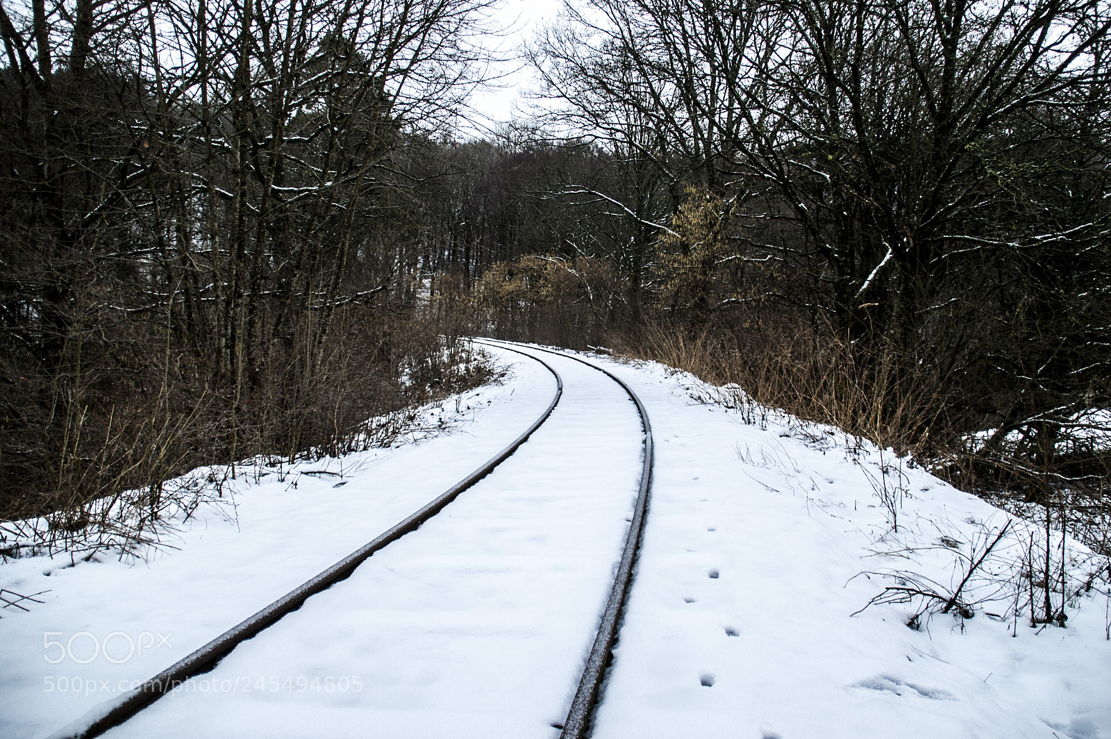 Nikon D50 sample photo. Snow photography