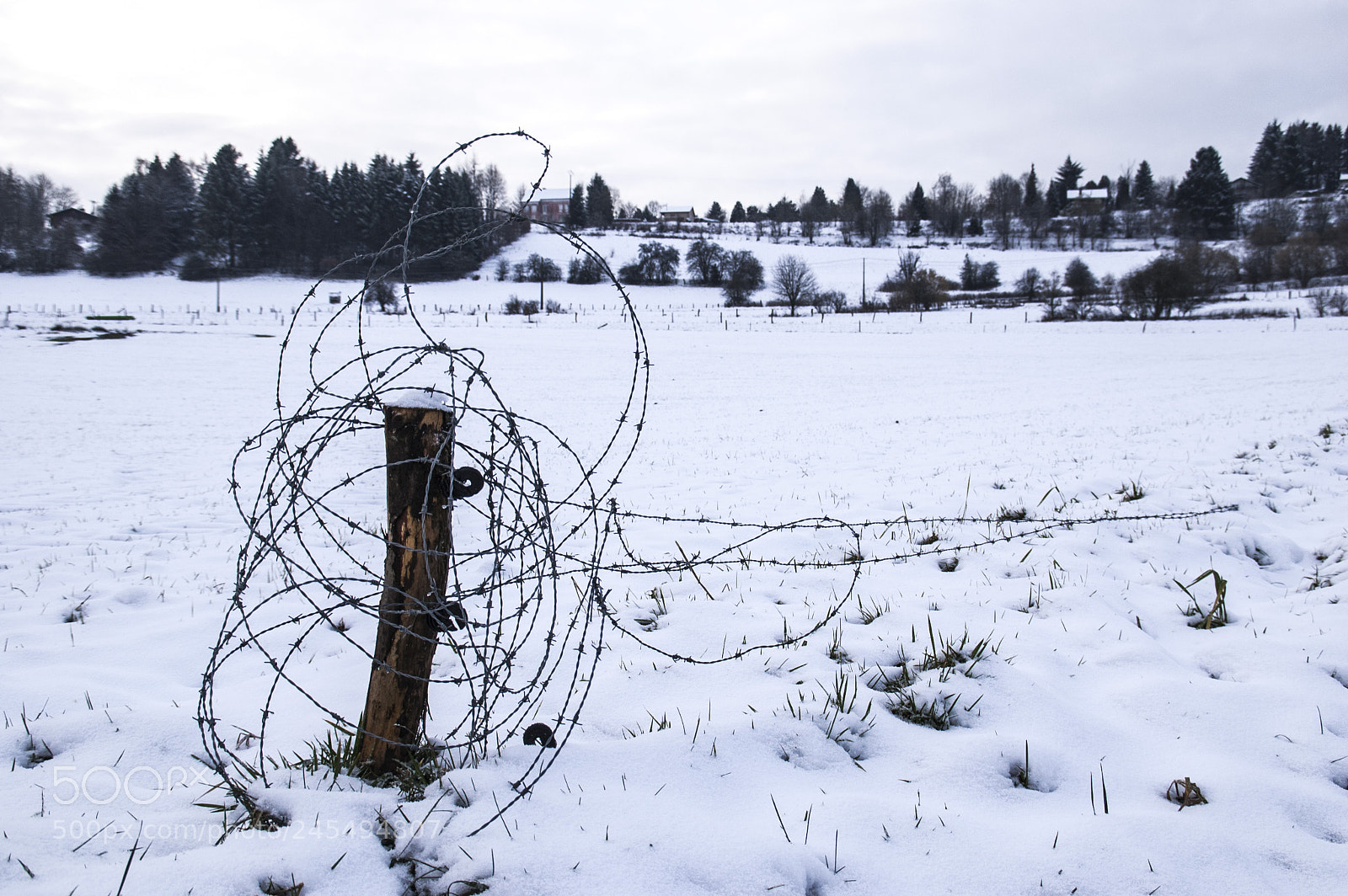 Nikon D50 sample photo. Snow photography
