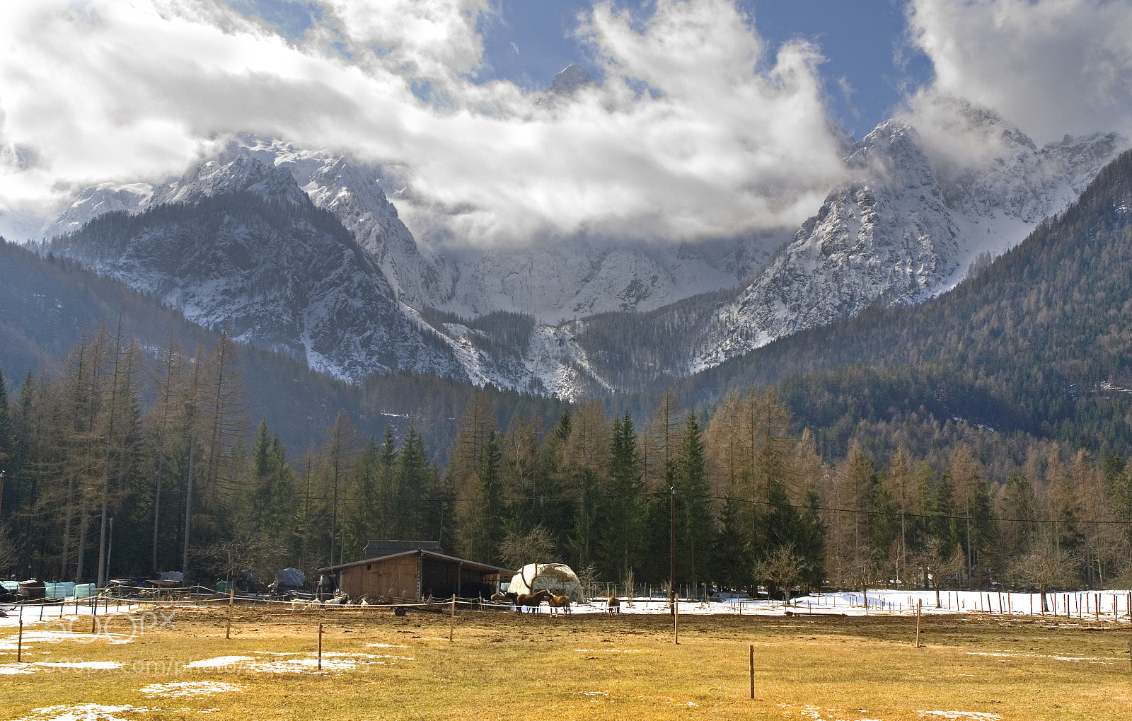 Nikon D80 sample photo. Homestead photography