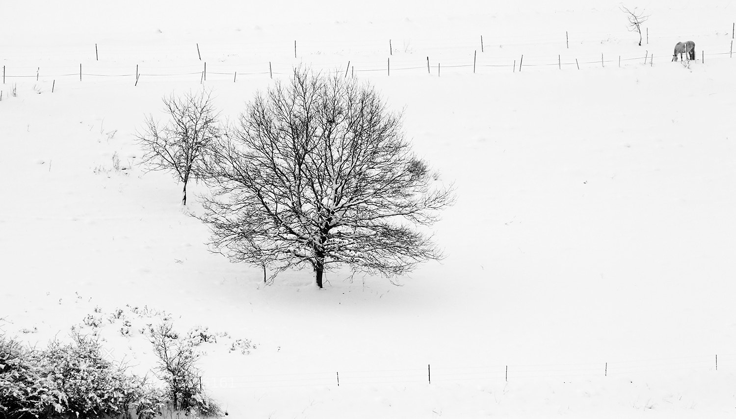 Fujifilm FinePix HS30EXR sample photo. ... winter beauty ... photography