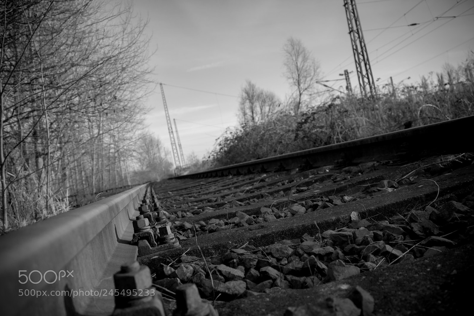 Canon EOS 750D (EOS Rebel T6i / EOS Kiss X8i) sample photo. Track b/w photography