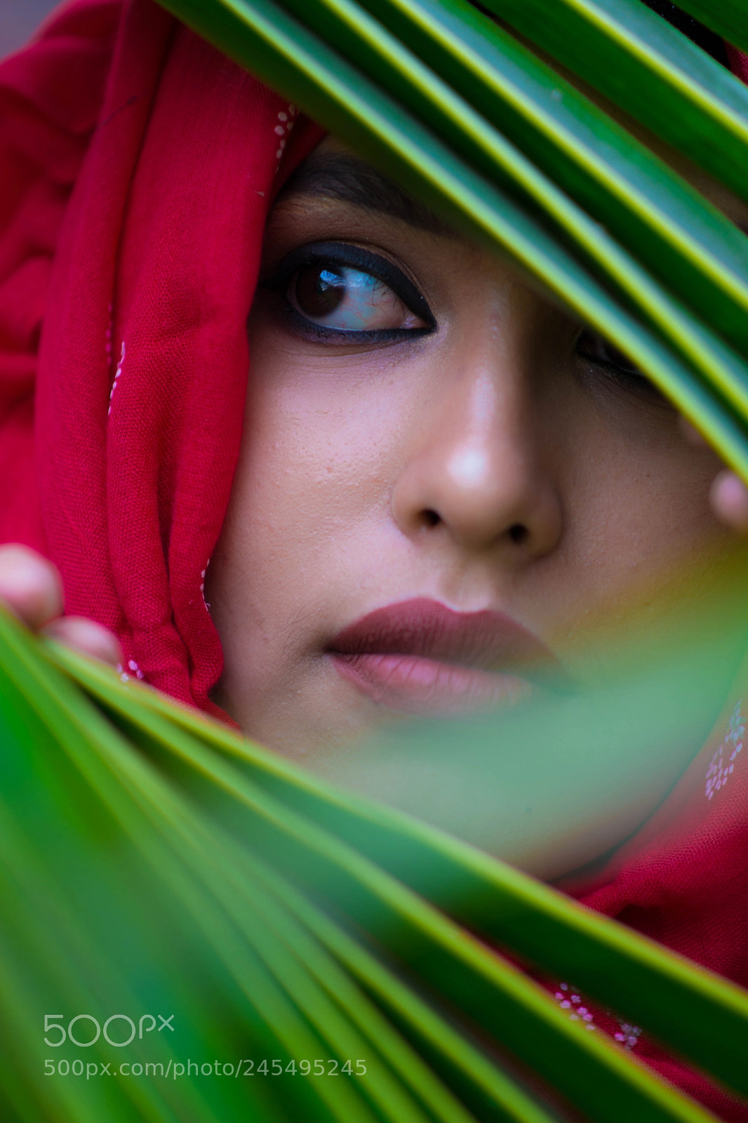 Nikon D7100 sample photo. Searching for light photography