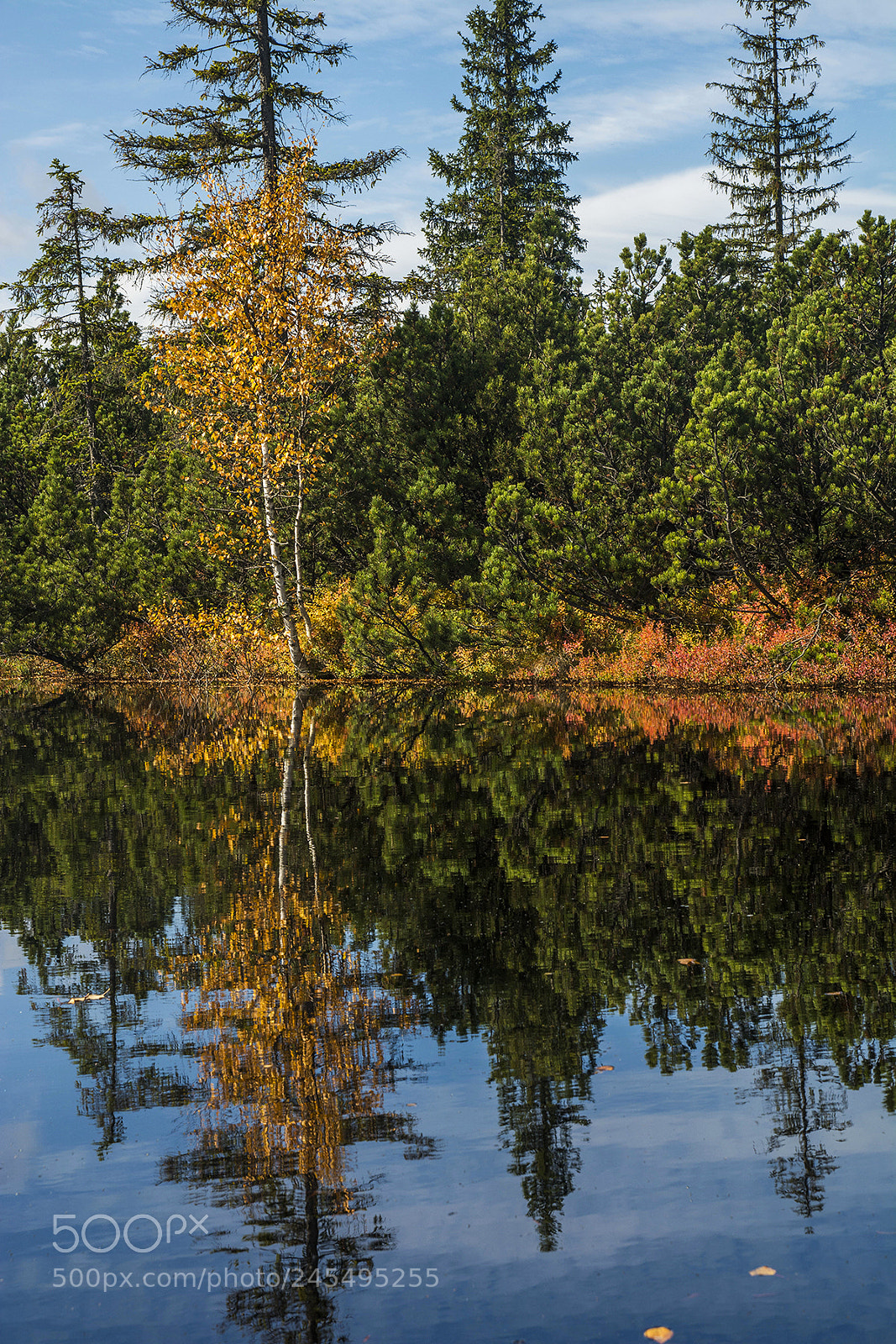 Nikon D7100 sample photo. Peat lake, sumava photography
