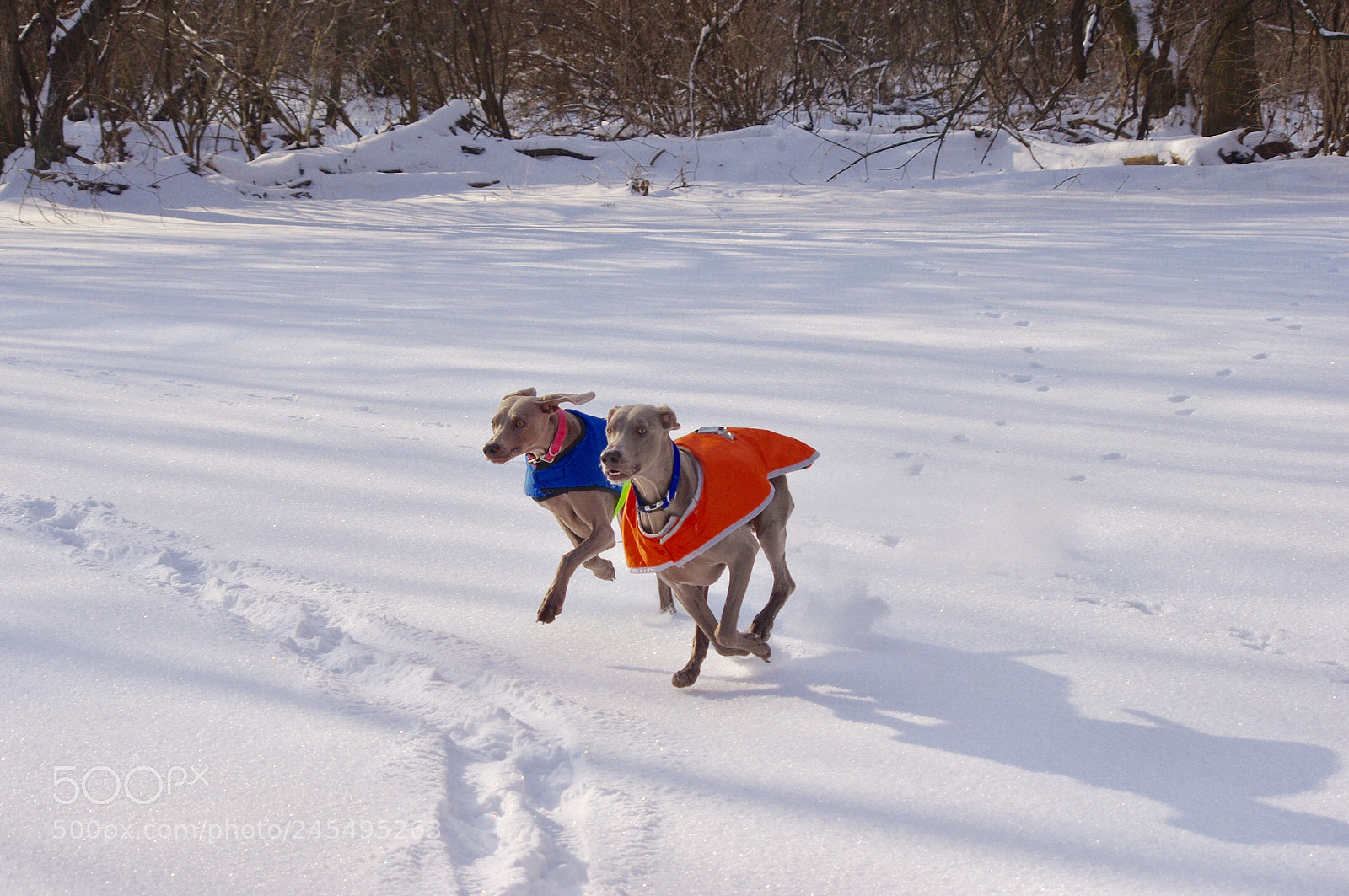 Pentax K-x sample photo. I have 2 pair photography