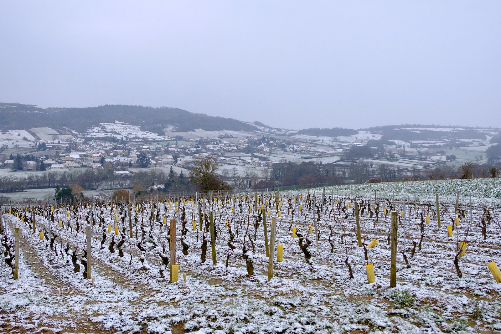 Fujifilm X-T20 sample photo. Neige sur st denis photography