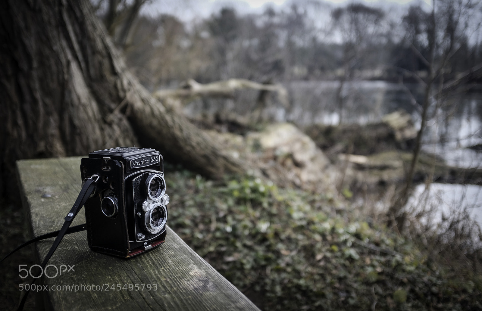 Fujifilm X100F sample photo. Taking the view photography
