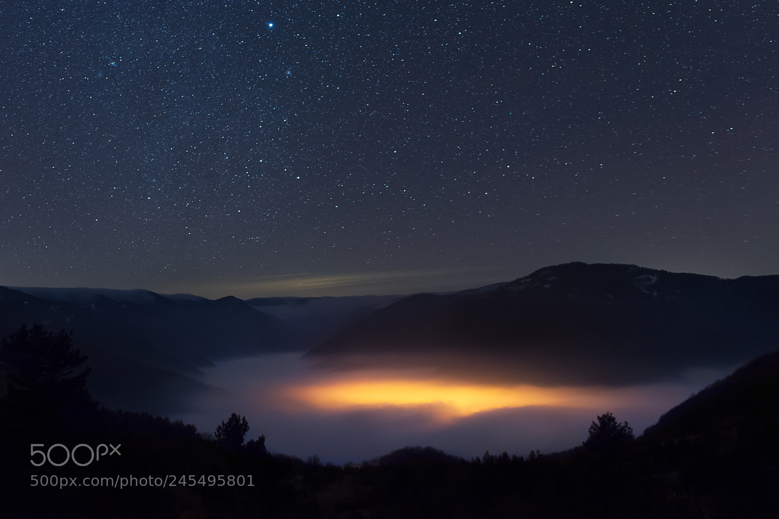 Nikon D7100 sample photo. Under the fog photography