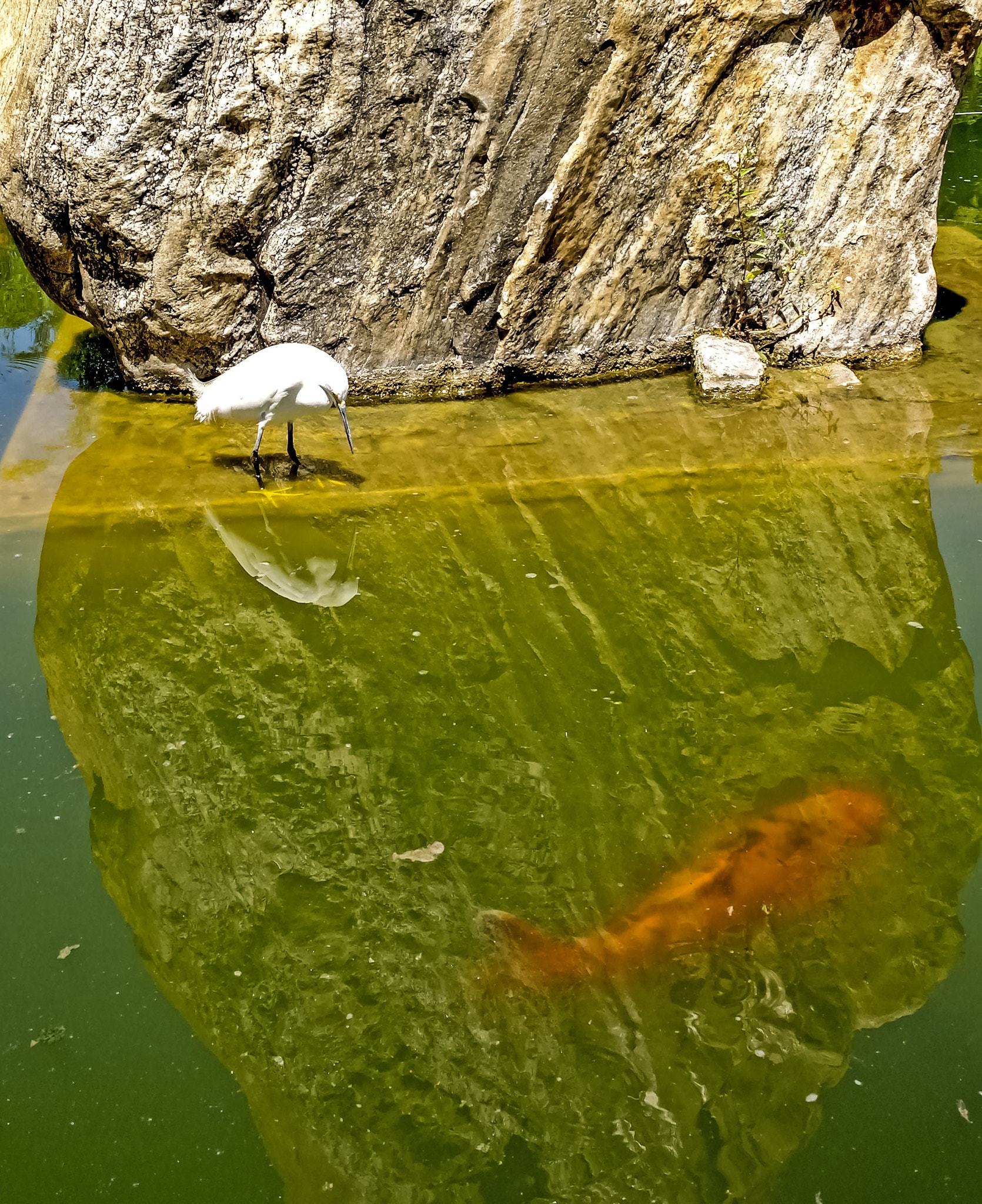 Samsung NX100 sample photo. Pescador de ilusiones. photography