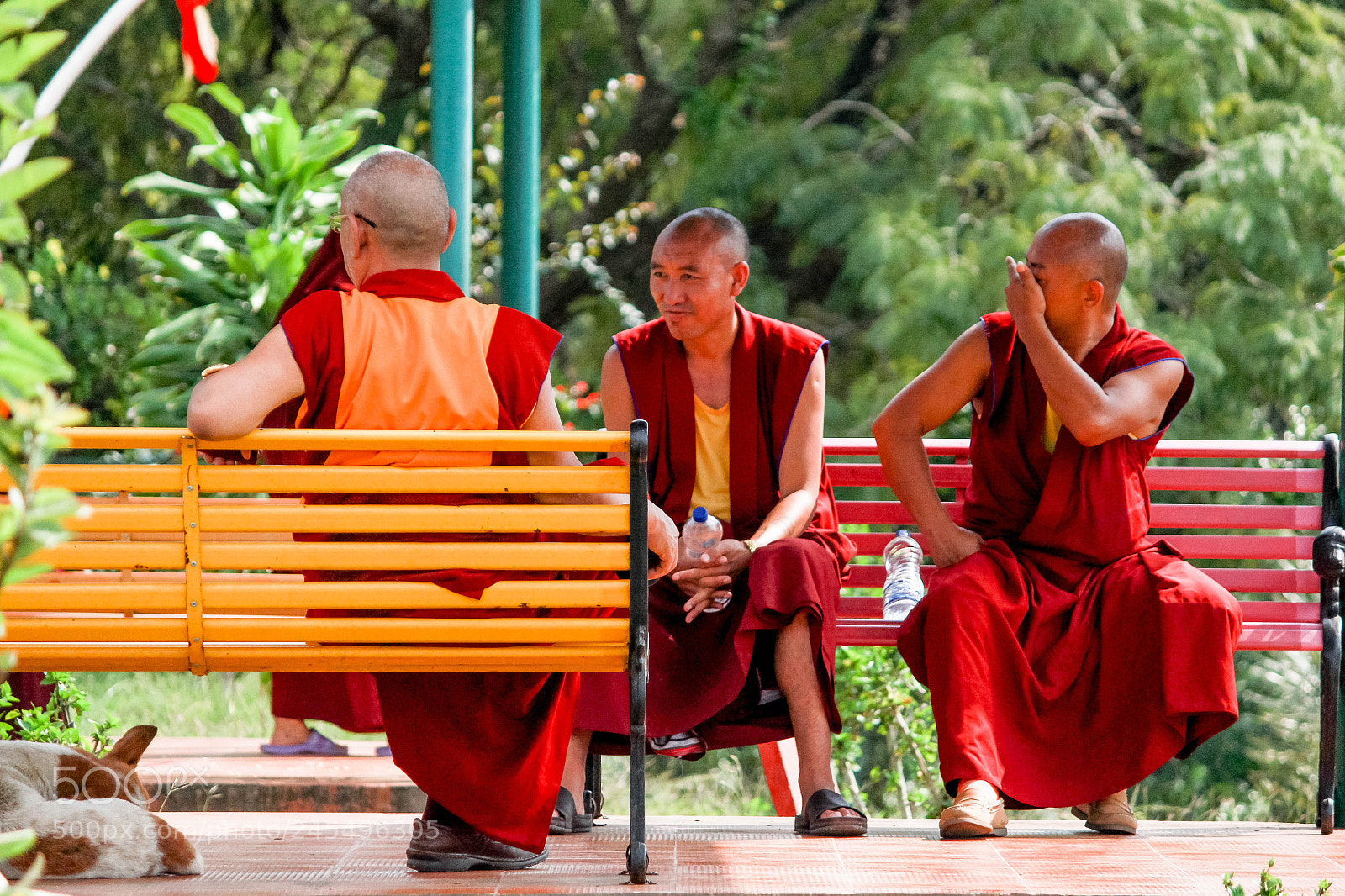 Canon EOS 700D (EOS Rebel T5i / EOS Kiss X7i) sample photo. Monks photography