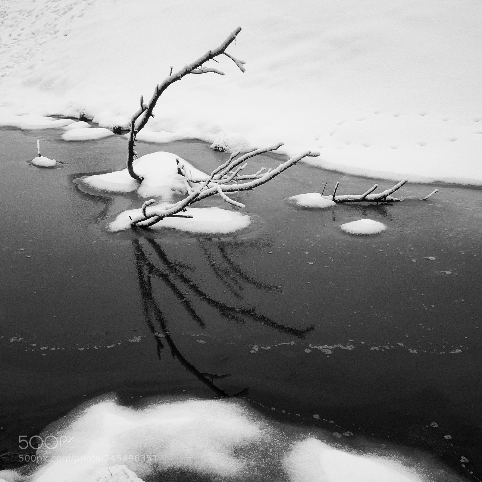 Nikon D800 sample photo. End of winter photography