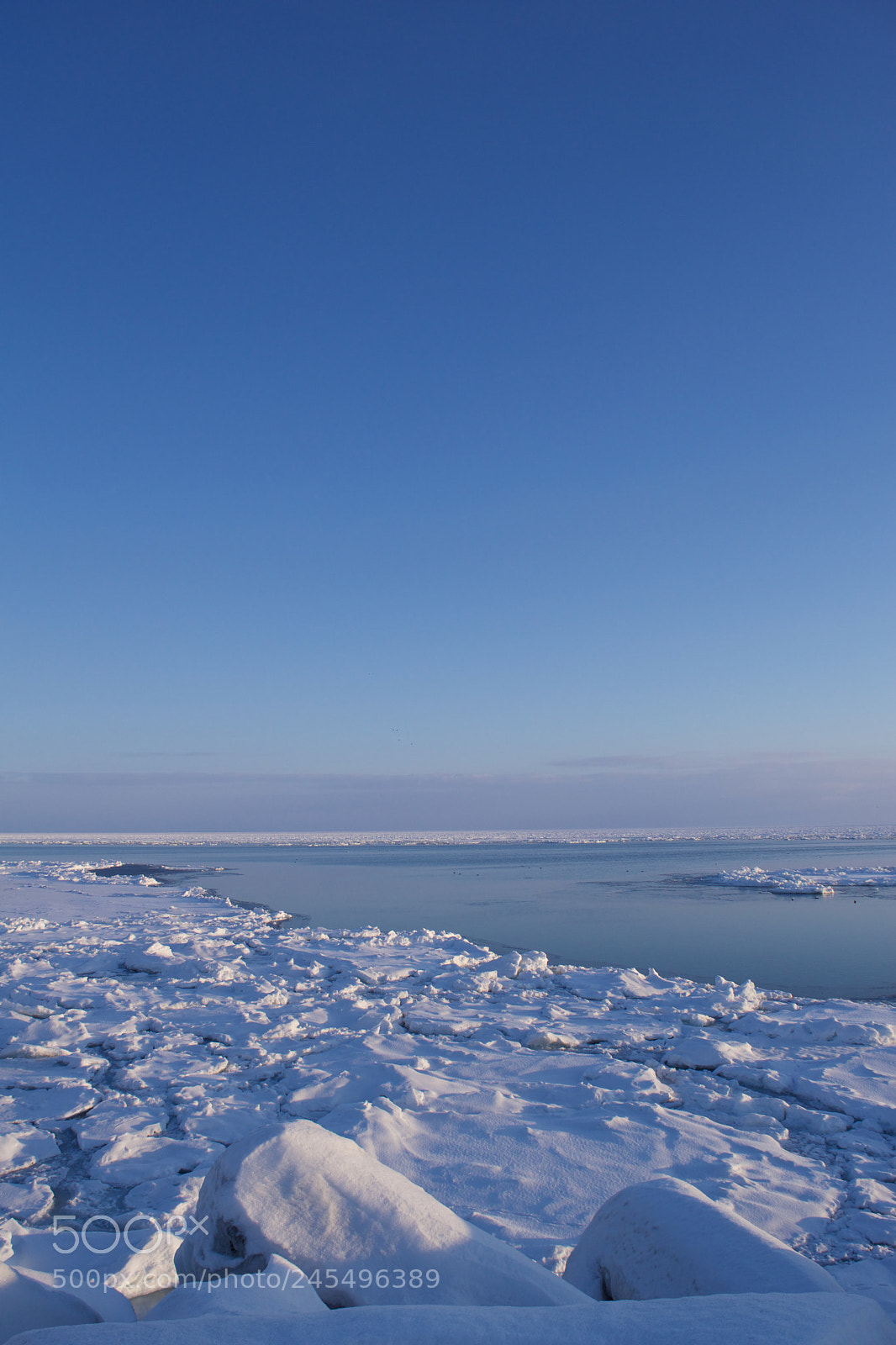 Nikon D5500 sample photo. 流氷 photography