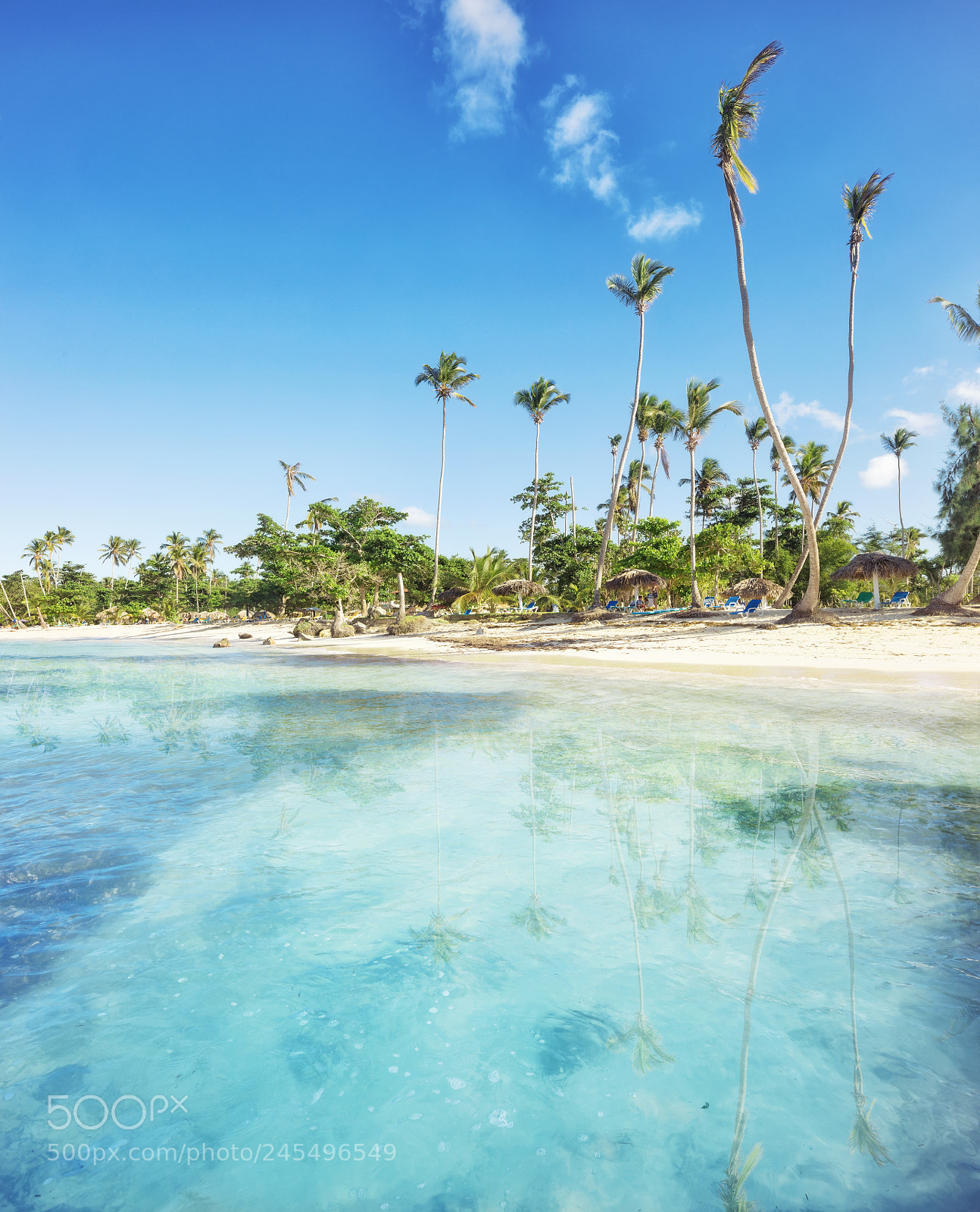 Canon EOS 5DS R sample photo. Vacation in dominican republic photography