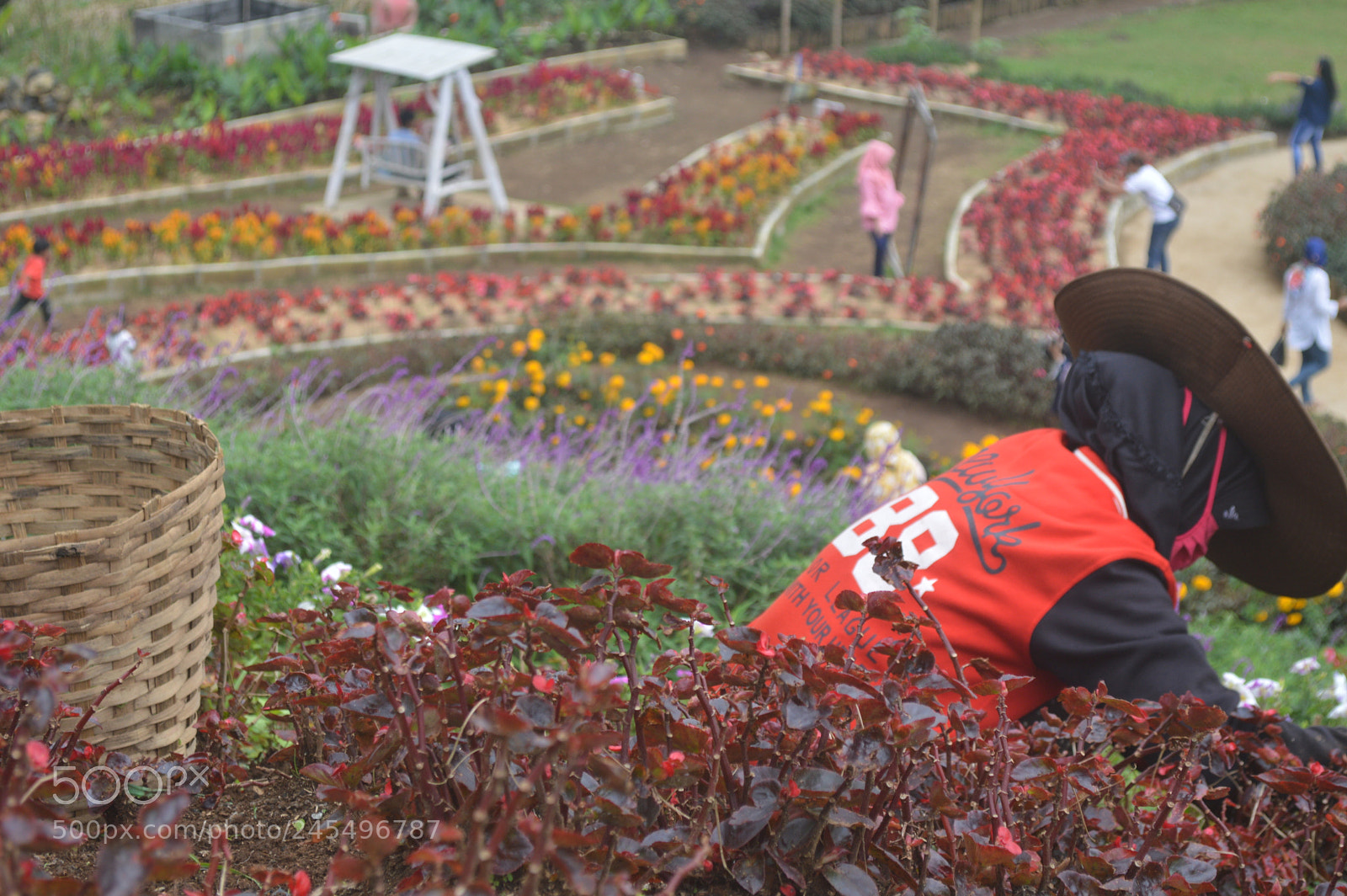 Nikon D3200 sample photo. Caring for flower gardens photography