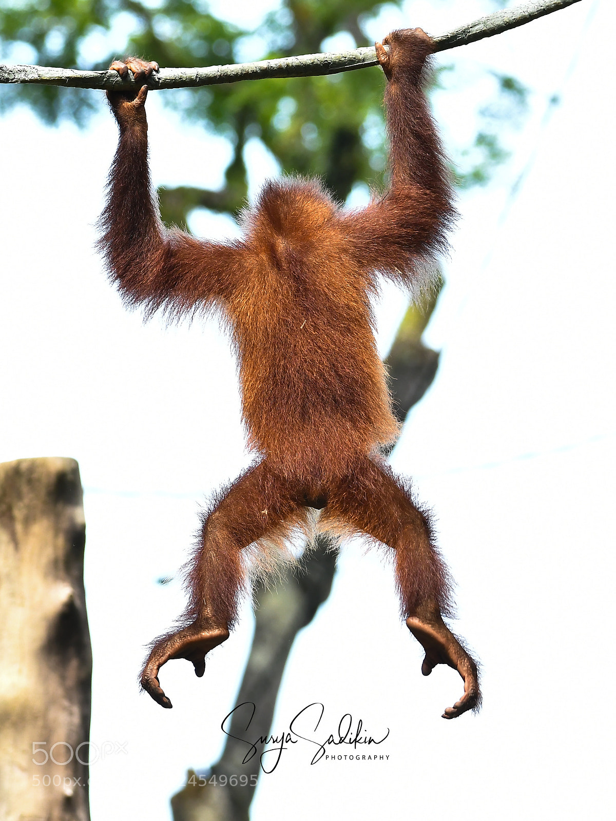Nikon D500 sample photo. Who am i? photography
