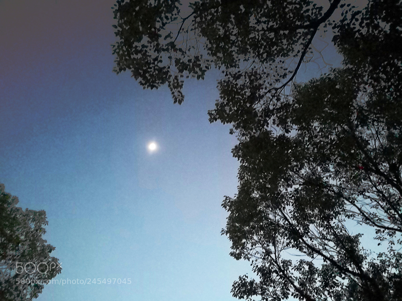 HUAWEI Mate 10 Pro sample photo. Untitled photography