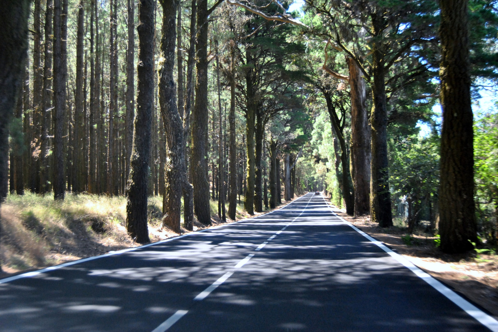 Nikon D3000 sample photo. Teide photography