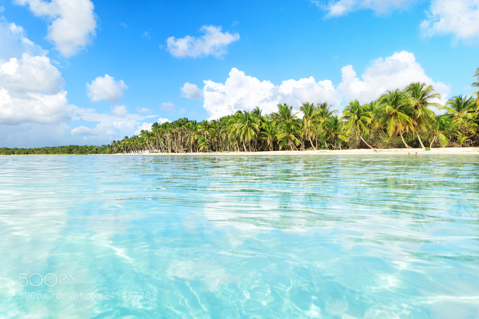 Canon EOS 5DS R sample photo. Vacation in dominican republic photography