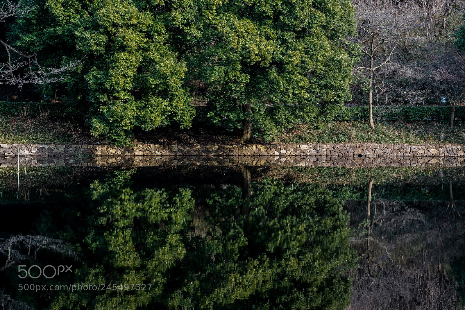 Sony a7R III sample photo. Reflection photography