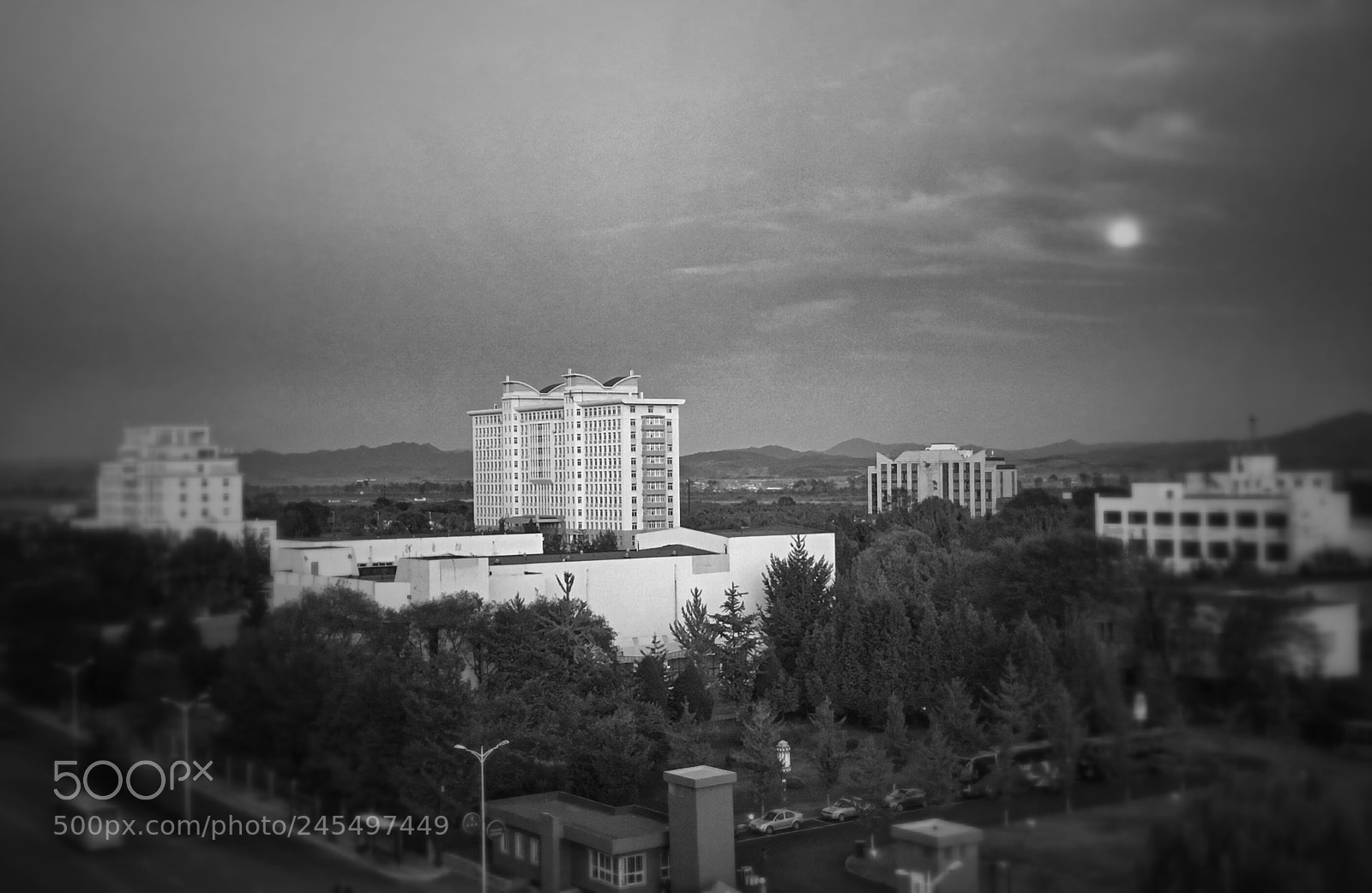 Apple iPhone SE sample photo. Untitled photography