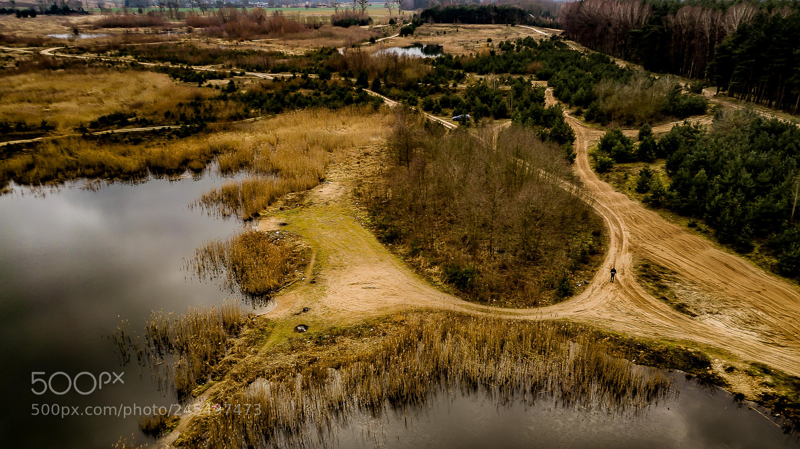 DJI FC220 sample photo. Forest and lake photography