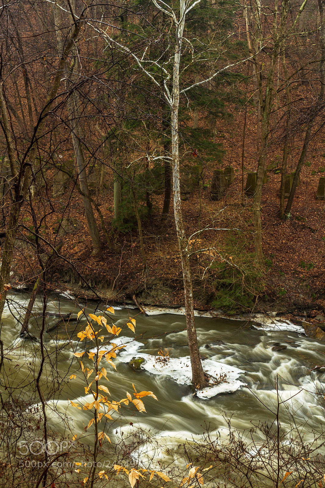 Canon EOS 1200D (EOS Rebel T5 / EOS Kiss X70 / EOS Hi) sample photo. In the river photography