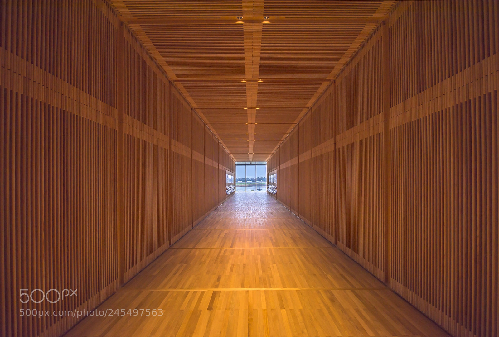 Nikon D810 sample photo. Toyama prefectural museum photography