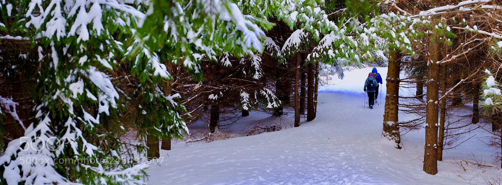 Fujifilm GFX 50S sample photo. Hiking after snowing photography