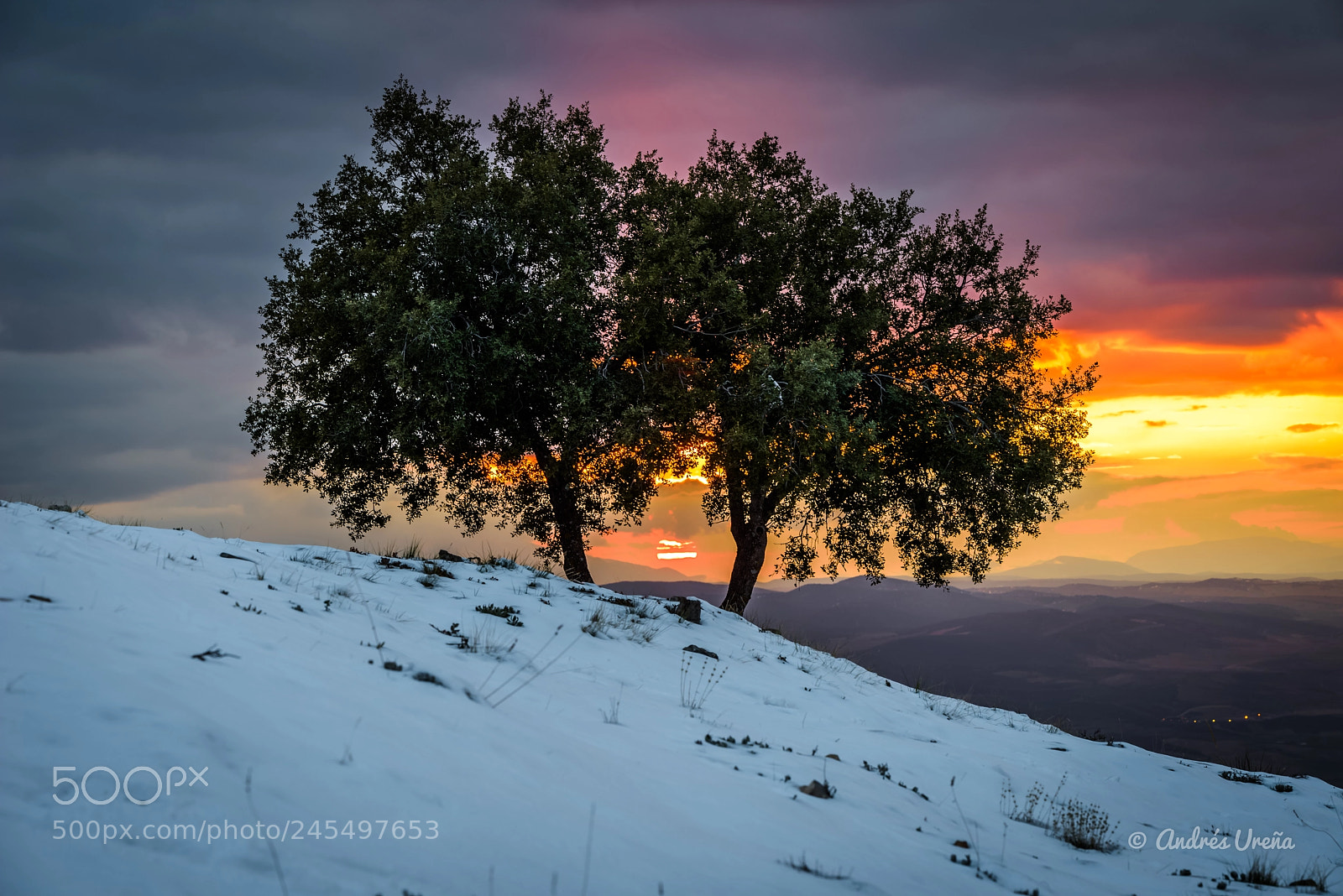Nikon D810 sample photo. Sunset photography